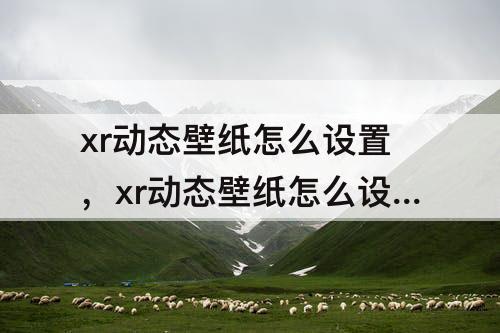 xr动态壁纸怎么设置，xr动态壁纸怎么设置抖音