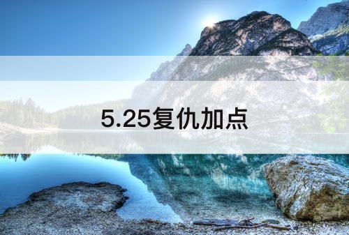5.25复仇加点