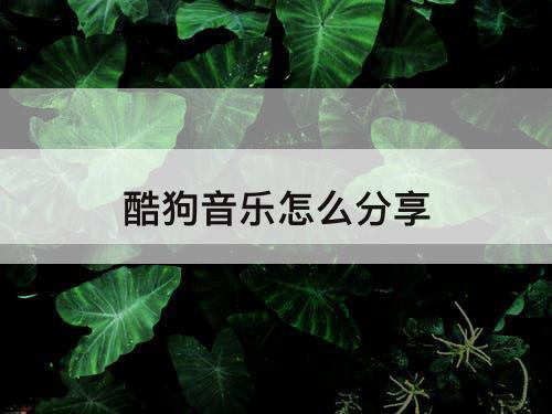 酷狗音乐怎么分享
