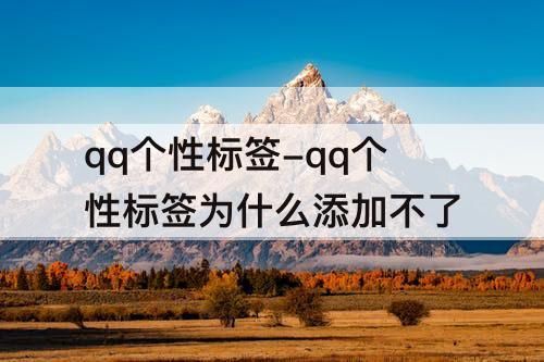 qq个性标签-qq个性标签为什么添加不了