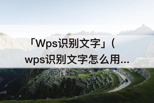 「Wps识别文字」(wps识别文字怎么用)