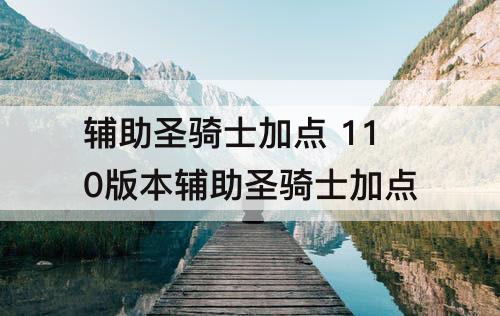 辅助圣骑士加点 110版本辅助圣骑士加点