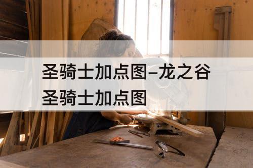 圣骑士加点图-龙之谷圣骑士加点图