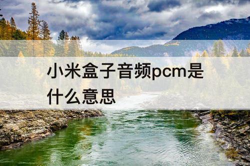 小米盒子音频pcm是什么意思