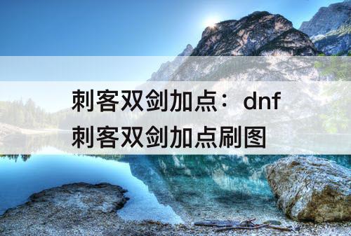 刺客双剑加点：dnf刺客双剑加点刷图