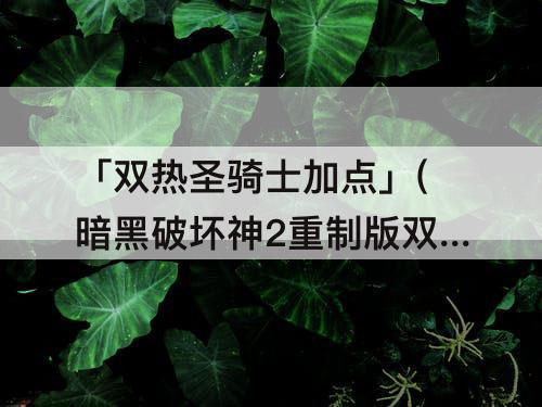 「双热圣骑士加点」(暗黑破坏神2重制版双热圣骑士加点配装)