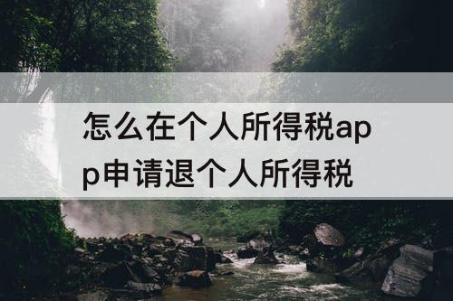 怎么在个人所得税app申请退个人所得税