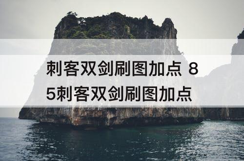 刺客双剑刷图加点 85刺客双剑刷图加点