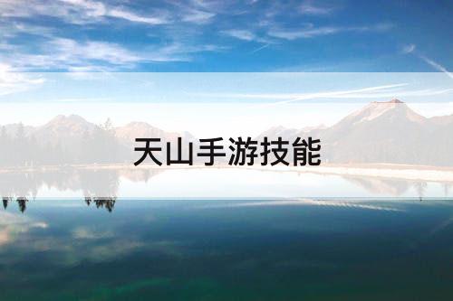 天山手游技能