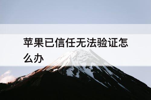 苹果已信任无法验证怎么办