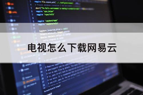 电视怎么下载网易云