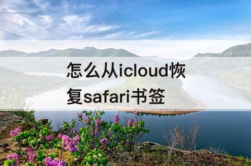 怎么从icloud恢复safari书签