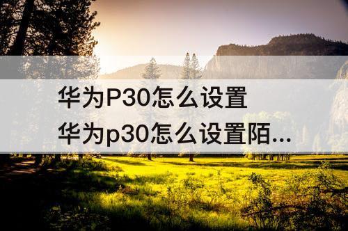 华为P30怎么设置 华为p30怎么设置陌生号码打不进来