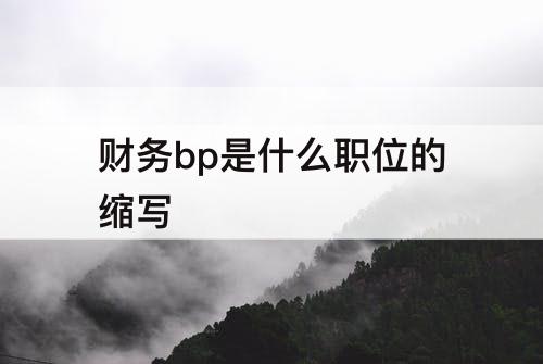 财务bp是什么职位的缩写