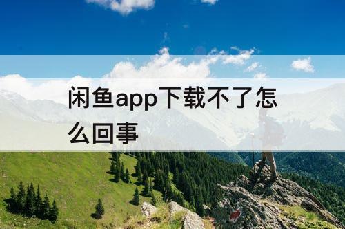 闲鱼app下载不了怎么回事