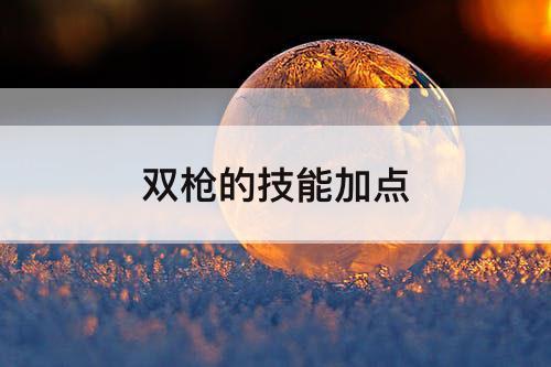 双枪的技能加点
