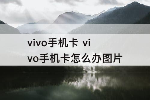 vivo手机卡 vivo手机卡怎么办图片