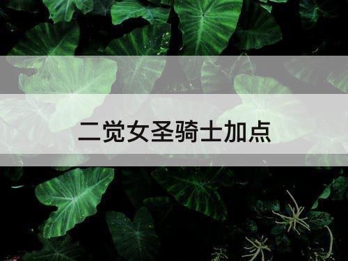 二觉女圣骑士加点