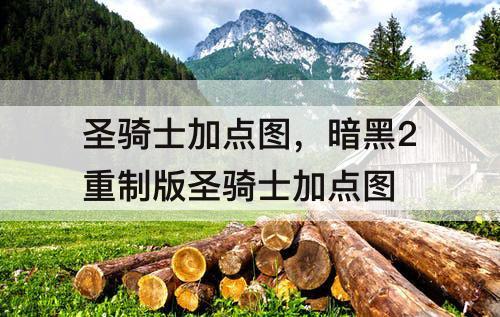圣骑士加点图，暗黑2重制版圣骑士加点图