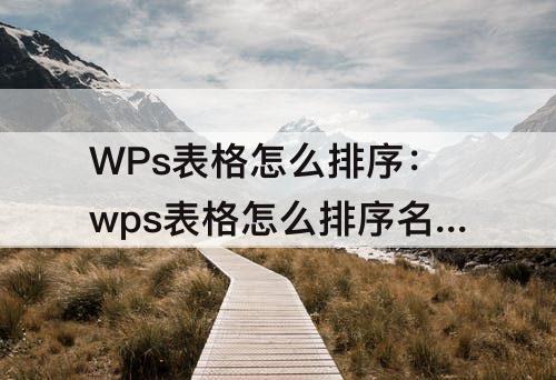 WPs表格怎么排序：wps表格怎么排序名次