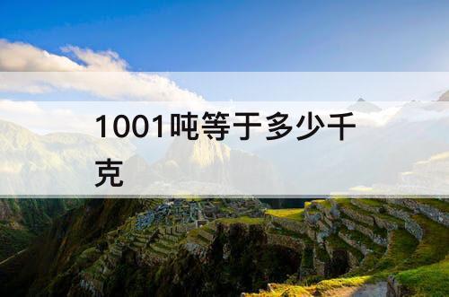 1001吨等于多少千克