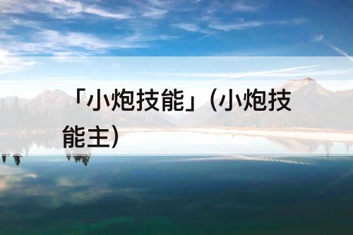 「小炮技能」(小炮技能主)