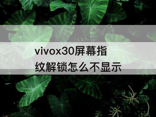 vivox30屏幕指纹解锁怎么不显示