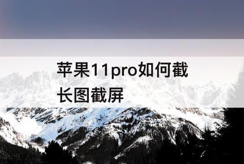 苹果11pro如何截长图截屏