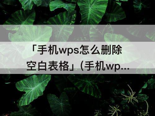 「手机wps怎么删除空白表格」(手机wps怎么删除空白表格框)