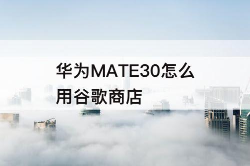 华为MATE30怎么用谷歌商店