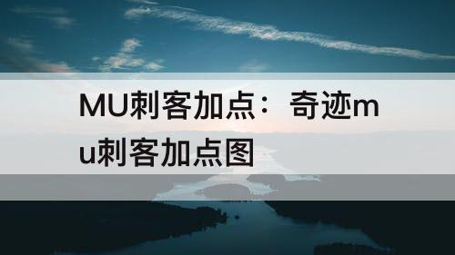 MU刺客加点：奇迹mu刺客加点图