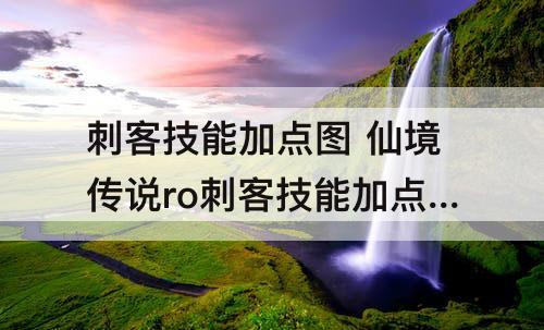 刺客技能加点图 仙境传说ro刺客技能加点图
