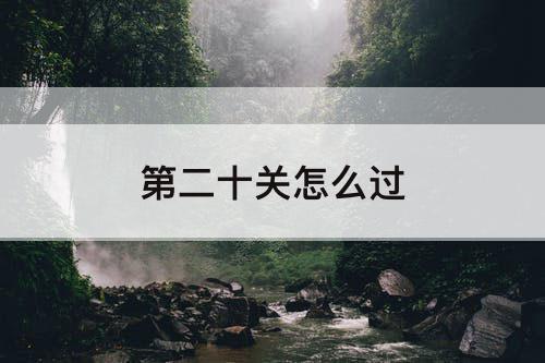 第二十关怎么过