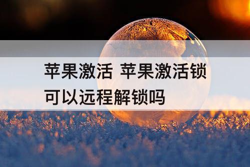 苹果激活 苹果激活锁可以远程解锁吗