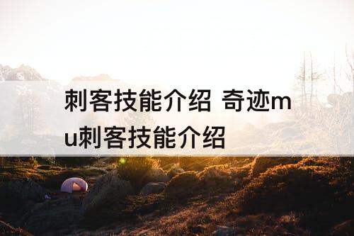 刺客技能介绍 奇迹mu刺客技能介绍
