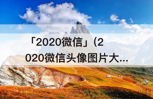 「2020微信」(2020微信头像图片大全)