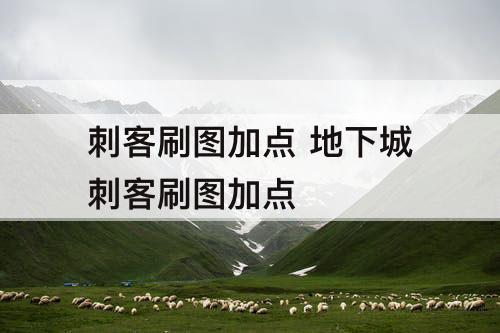 刺客刷图加点 地下城刺客刷图加点