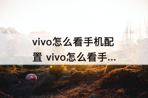 vivo怎么看手机配置 vivo怎么看手机配置参数