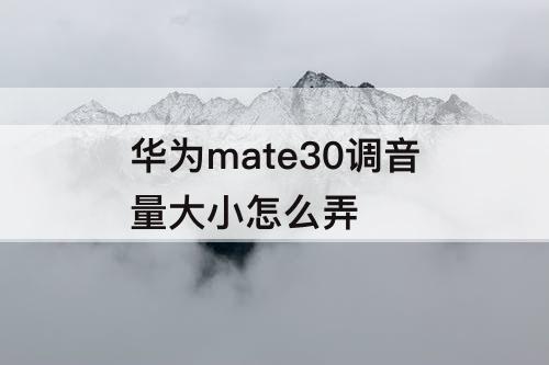 华为mate30调音量大小怎么弄
