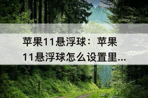 苹果11悬浮球：苹果11悬浮球怎么设置里面的东西