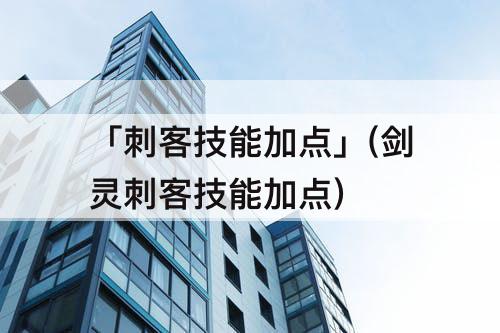 「刺客技能加点」(剑灵刺客技能加点)