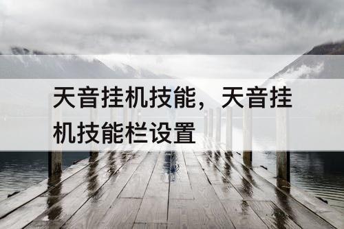 天音挂机技能，天音挂机技能栏设置