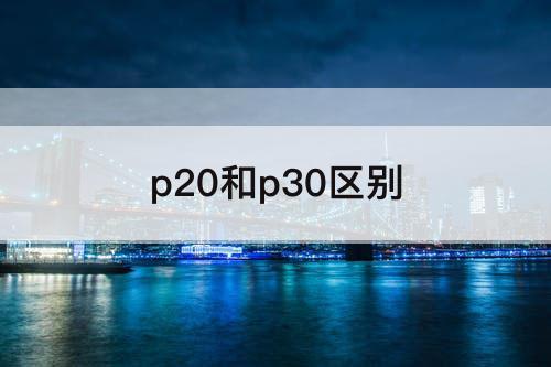 p20和p30区别