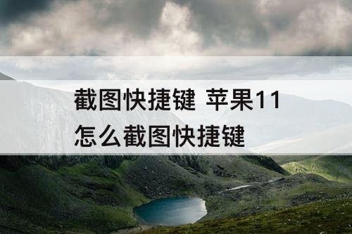 截图快捷键 苹果11怎么截图快捷键