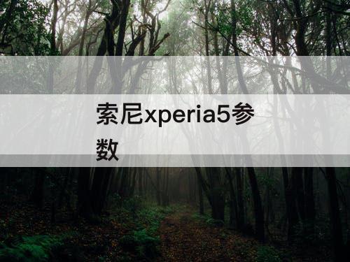 索尼xperia5参数