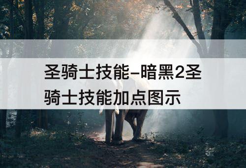 圣骑士技能-暗黑2圣骑士技能加点图示