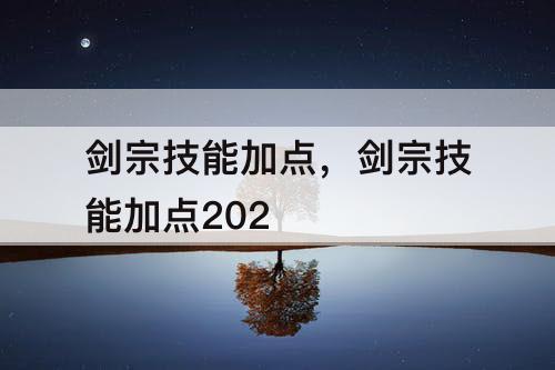 剑宗技能加点，剑宗技能加点202