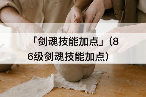 「剑魂技能加点」(86级剑魂技能加点)