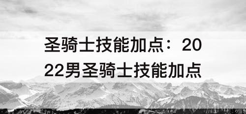 圣骑士技能加点：2022男圣骑士技能加点