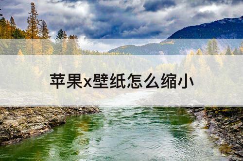 苹果x壁纸怎么缩小